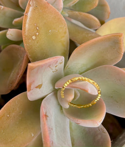 Bague Roma