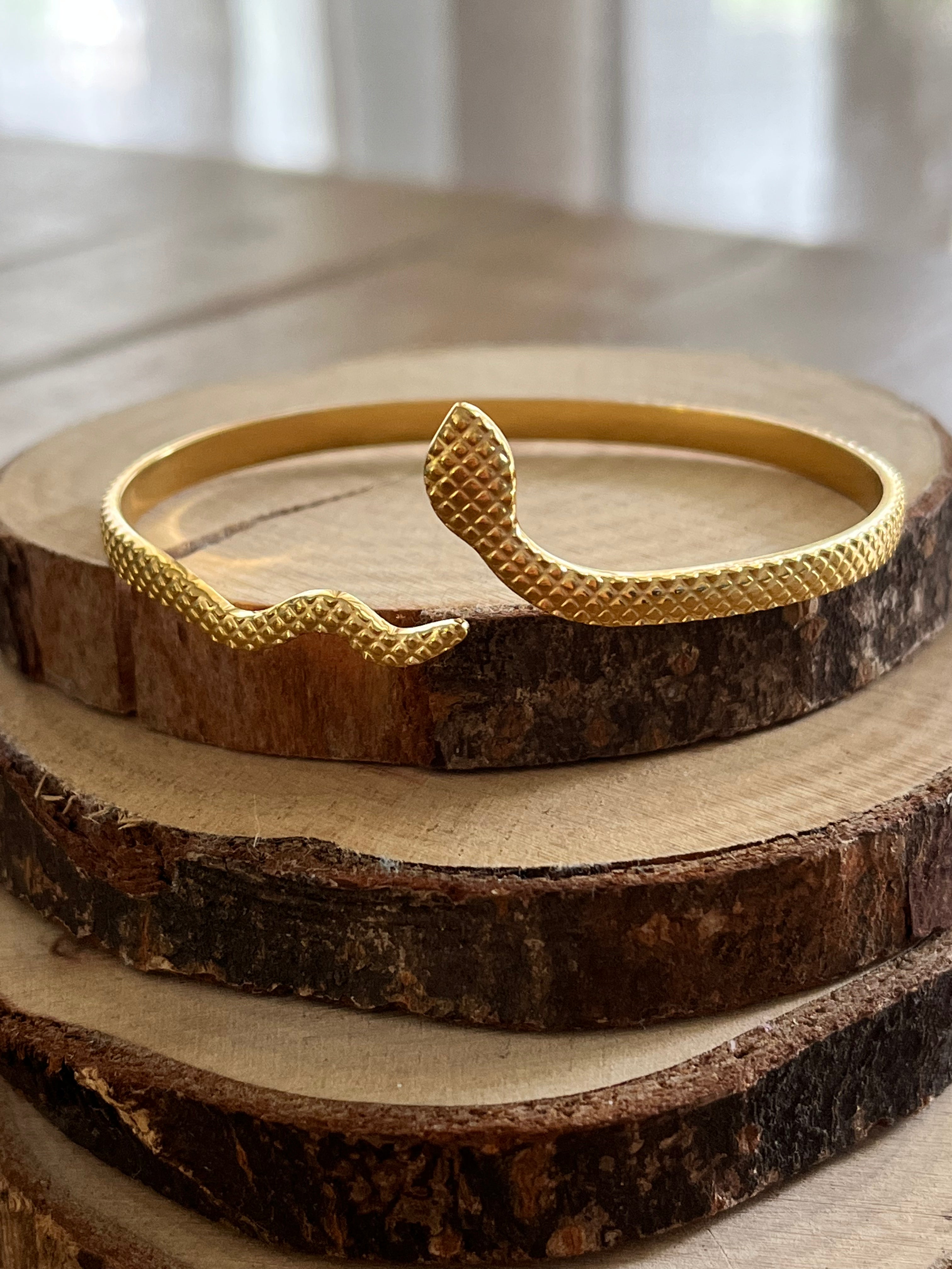 Bracelet jonc Snake
